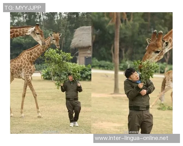 偶遇足球明星的奇妙瞬间如何用文字记录与分享