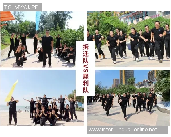 重庆排球队的团队协作与默契配合探讨与分析